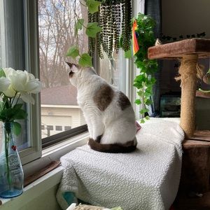 Meet your Posher, El